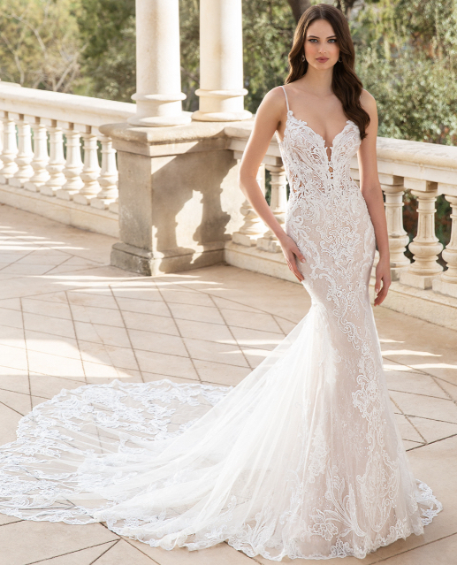 ÉLYSÉE Trunk Show Main Image