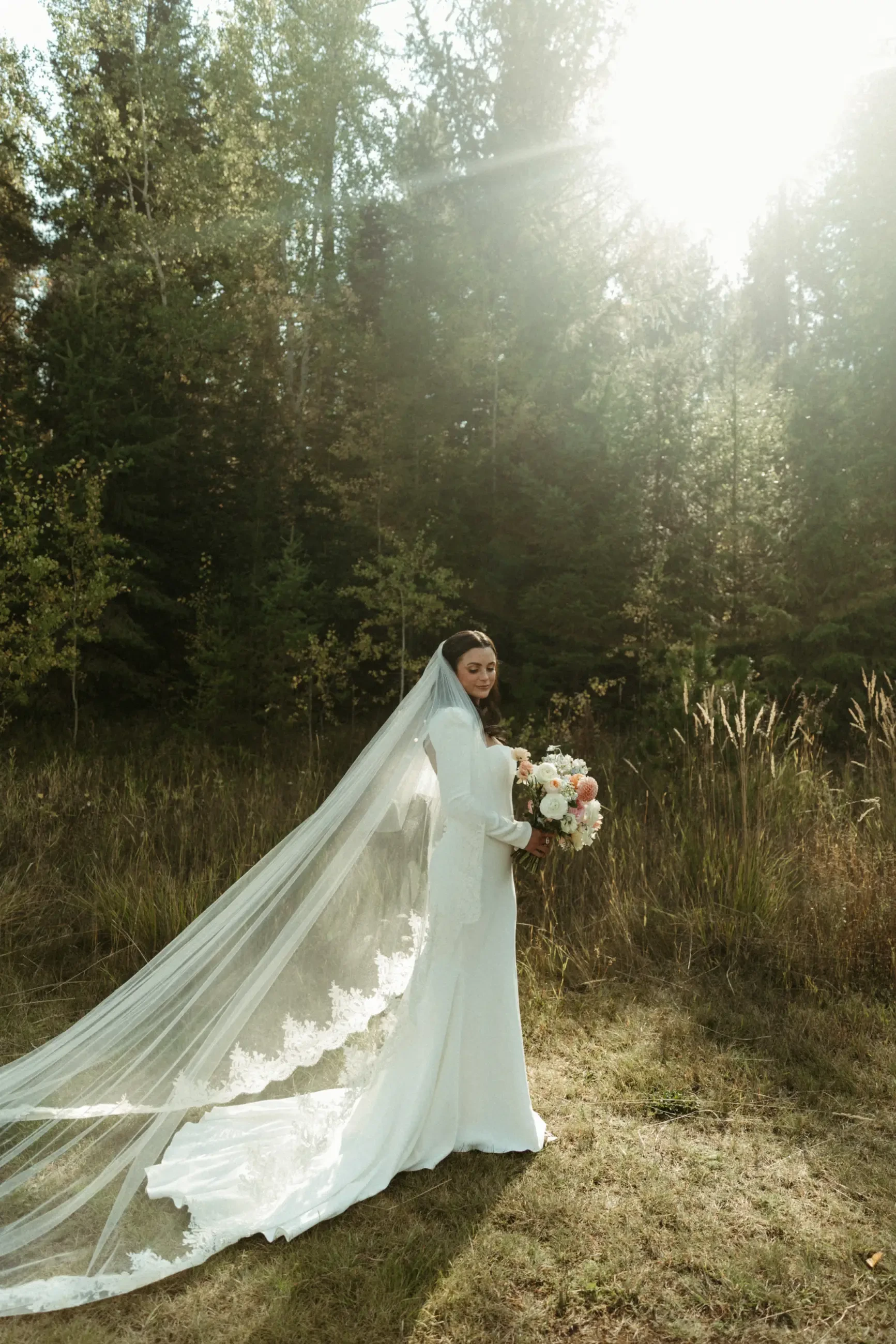 Gallery Image #slidesGrid6